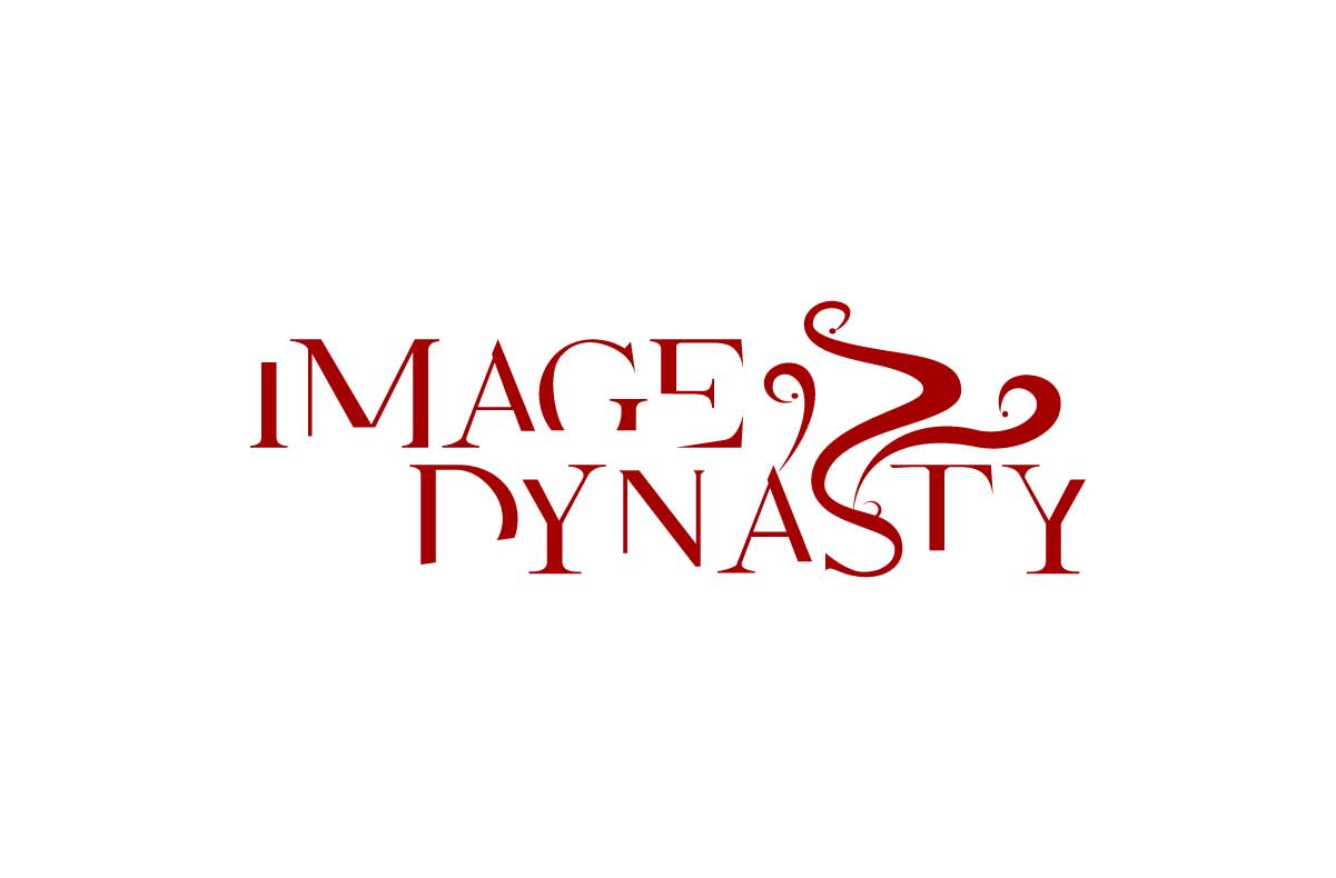 美发造型vi设计公司-Image Dynasty缔国造型vi手册